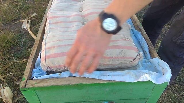 Сколько рамок оставлять пчелам в зиму? смотреть онлайн