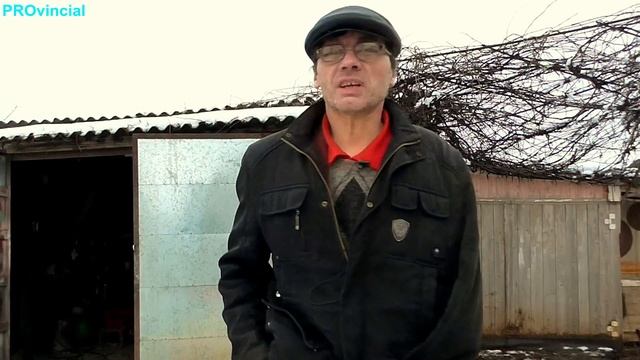 У какой собаки самый сильный укус смотреть онлайн