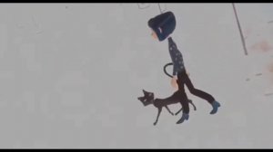 RYTP|коралина в стране кошмаров 2#