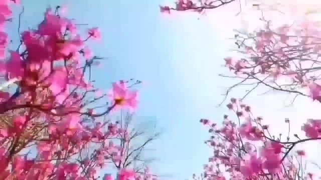 ВО ДЕЛА! ЗАСТАВИЛА ЦЕЛОВАТЬ. ОЛЮНЯ И КОТЮНЯ. ОБЗОР. смотреть онлайн