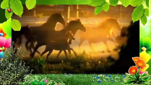 Цыганская песня “Ай дану, дану, данай “ смотреть онлайн