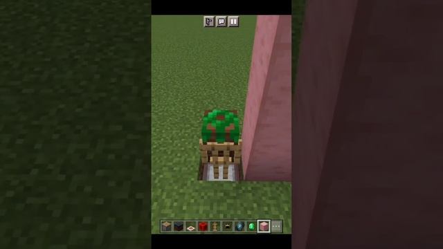 Dragon Fruit Minecraft Build Hack смотреть онлайн