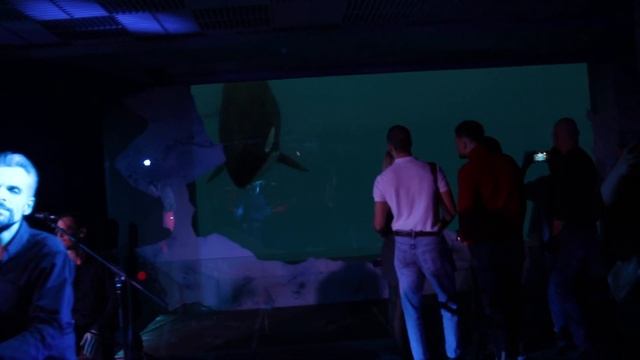 Светлана Жаворонкова в "Москвариуме" на площадке "Море музыки" смотреть онлайн