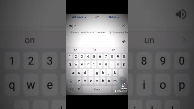 İşte O Google Gizemi.. Bilgi Camiası Youtube-Tiktok Videoları смотреть онлайн