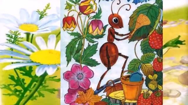 Муравья не обижай!  детская песня.