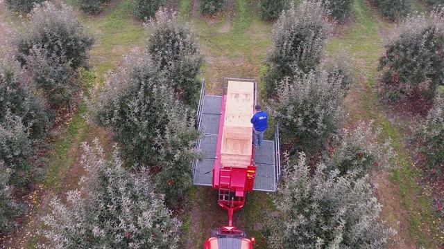 Platforma sadownicza MCMS Warka смотреть онлайн