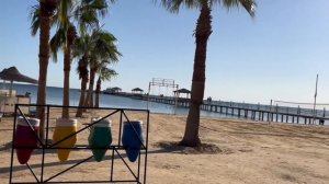 Египет: обзор отеля Amwaj Beach Club Abu Soma 4*, декабрь 2023