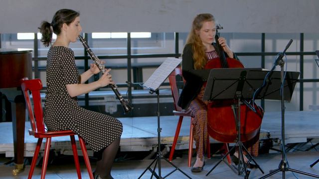 Silvia Rosani:  La Fabrica E 'l Fondamento - Trio Radial