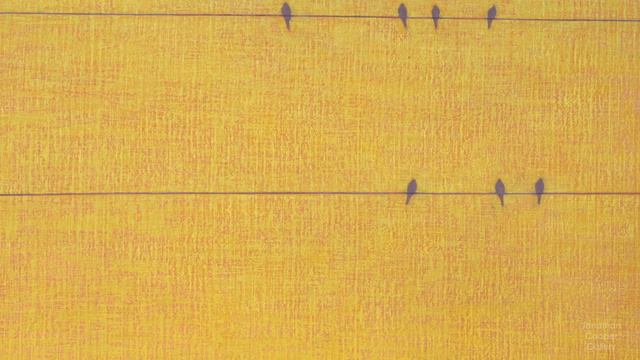 David Grossman speaks 'Flight Patterns' смотреть онлайн