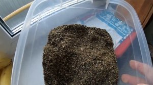 УБИЙЦА КАРАСЯ СУПЕР ЭФФЕКТИВНАЯ ПРИКОРМКА ДЛЯ ВЕСЕННЕЙ РЫБАЛКИ!!! Своими руками.