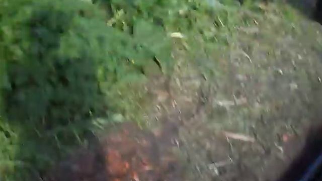 Семёново.07.06.2018г. смотреть онлайн