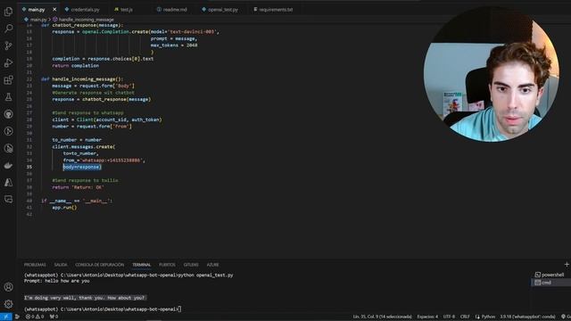 Creando un Bot de Whatsapp con Chat GPT integrado y Python смотреть онлайн