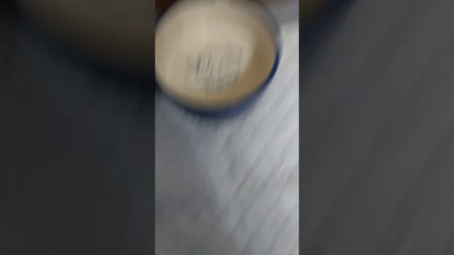 Йоркширский терьер. Первый день. смотреть онлайн