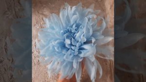 Голубая Хризантема брошь из ткани