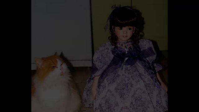 Фарфоровые куклы и котики Посвящается памяти моим любимцам Жану Эле и Маркизу / Dolls and cats смотреть онлайн