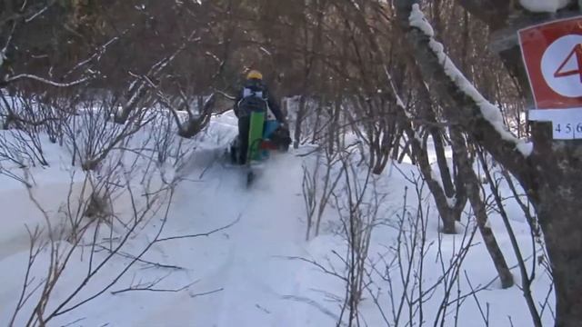 Снежный марафон на Телецком смотреть онлайн
