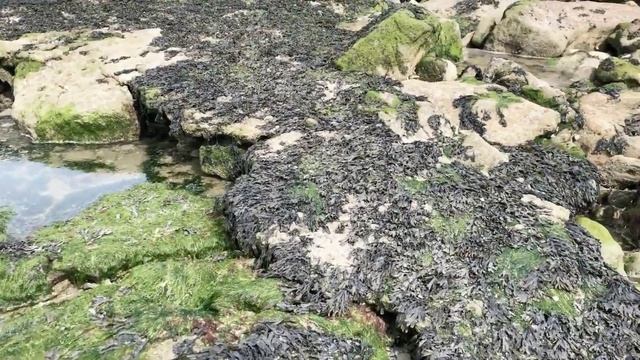 Bologne Sur Mer in France- The port and its surroundings смотреть онлайн