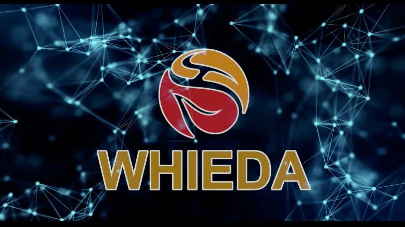 Кратко о маркетинг-плане компании WHIEDA смотреть онлайн