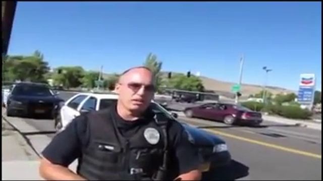 Когда КОНСТИТУЦИЯ и ЗАКОНЫ работают. Часть 2 смотреть онлайн