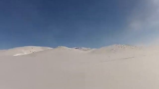 Охота на волков смотреть онлайн