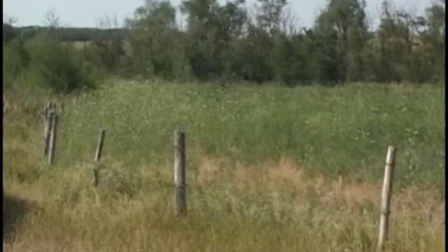 БРОШЕННЫЕ ДАЧНЫЕ УЧАСТКИ В РОСТОВСКОЙ ОБЛАСТИ смотреть онлайн