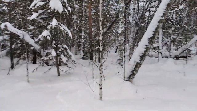 По путику на "Тунгусе", еще одна его не большая поломка. Печь в таежной избе смотреть онлайн