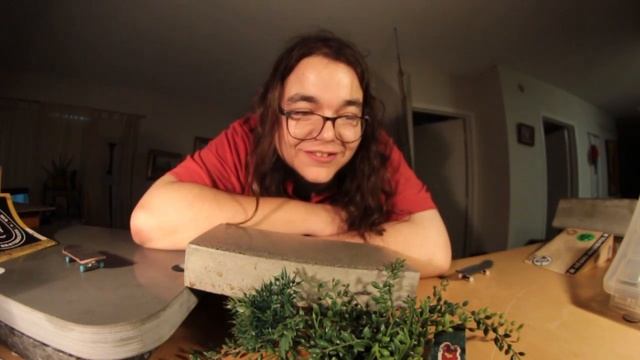 Pro Fingerboarder Test : Tech Deck VS Fingerboards