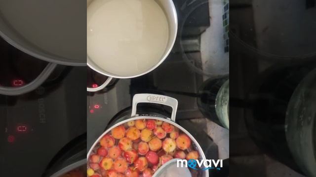 Варенье из райских яблочек "Ранеток" смотреть онлайн