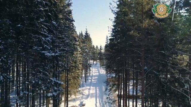 Добро пожаловать в зимнюю сказку 2021! смотреть онлайн