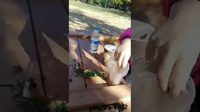 Готовим суши и суп за 0 грн смотреть онлайн