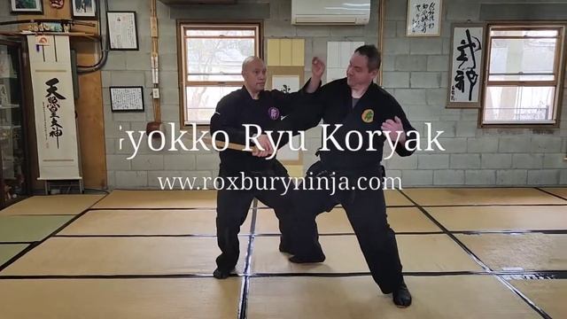 Gyokko Ryu Koryaku смотреть онлайн
