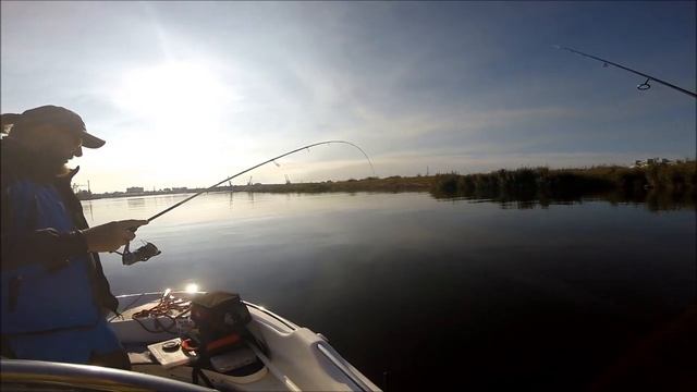 HD PERCH FISHING IN LATVIA. РЫБАЛКА В РИГЕ. ЛАЙТОВО ЛОВИМ. ....... - #019 смотреть онлайн