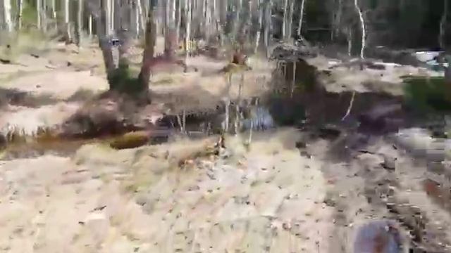 Покатушки на квадроциклах в лесу. Деревня Енино, Серпуховский Район смотреть онлайн