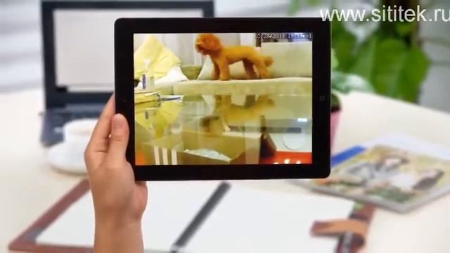 wi fi zmodo besprovodnoj смотреть онлайн