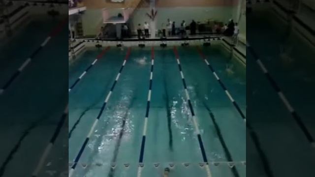 Соревнования по плаванию смотреть онлайн