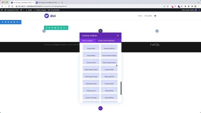Agrega más de 25 nuevos módulos gratis en Divi Builder con Divi Torque смотреть онлайн