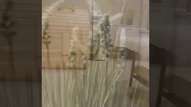 Бьюти Коворкинг «ПЕРСОНА» смотреть онлайн