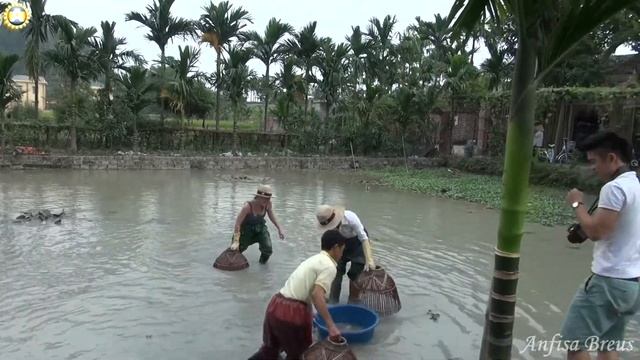 freelancelifestyle ru Vietnam 136 3 En Dik derevnya смотреть онлайн