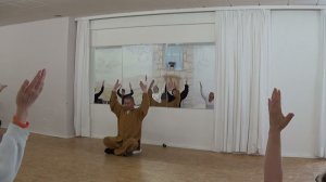 Си Суй Цзин Цигун/Xi Sui Jing. Мастер Ши Юн Дао