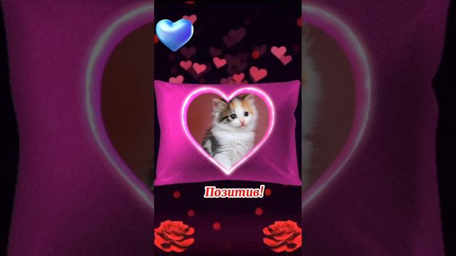 Добрый вечер! #сдобрымвечером #добрыйвечер #доброговечера #длятебя #пожелание #музыкальноепожелание смотреть онлайн