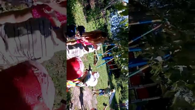 Детский дом 