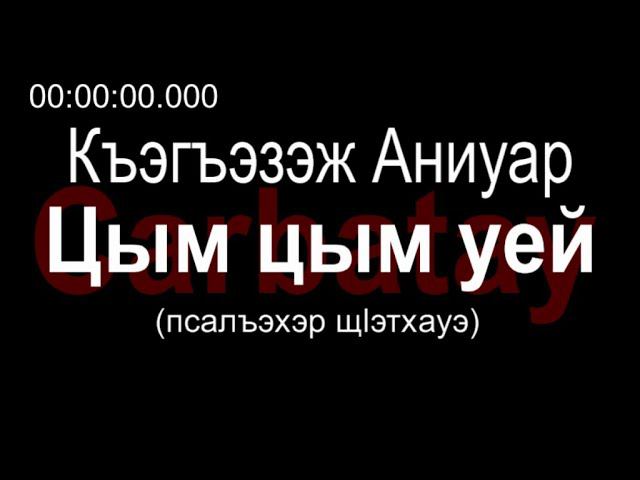 Адыгэ уэрэд | Къэгъэзэж Аниуар - Цым цым уей (псалъэхэр щӏэтхауэ) смотреть онлайн