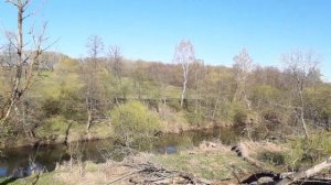 Рыбалка. Река Беспута. Тульская область. Май 2022г.