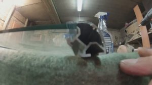 Сборка торговой витрины из алюминиевого профиля