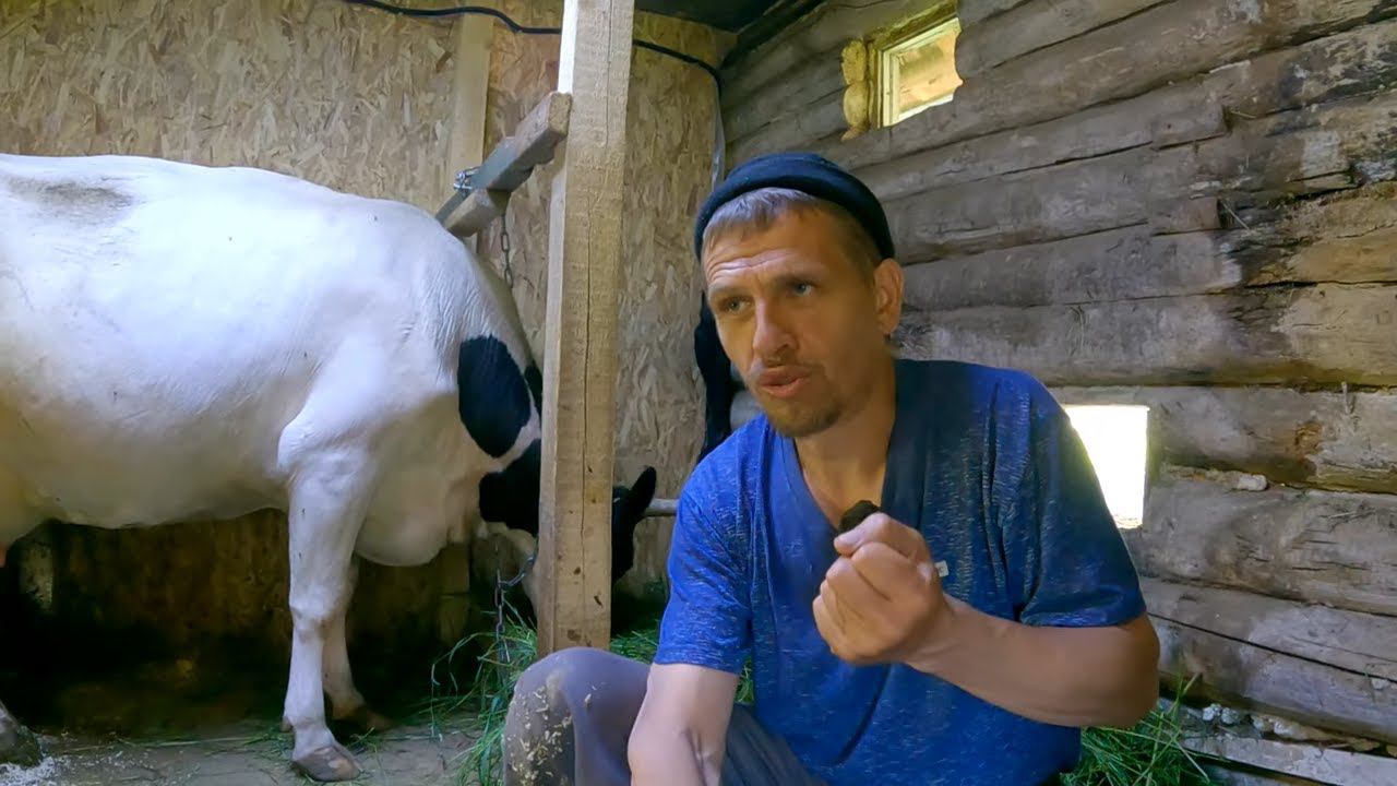 Деревенские НОВОСТИ прошедшей недели! Жизнь в деревне смотреть онлайн