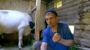 Деревенские НОВОСТИ прошедшей недели!  Жизнь в деревне