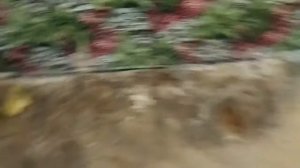 Очень кривой пол или рукожопые строители