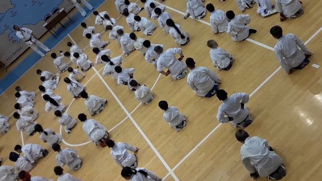 Давид, первый бой - оранжевый пояс?♂️ смотреть онлайн