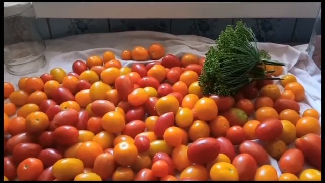 Синьоры помидоры.Тепличный беспредел. смотреть онлайн