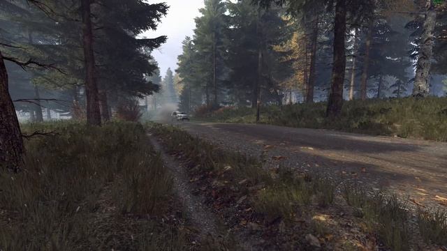 Dirt Rally 2.0. Daily Challenge. Finland- Kailajärvi. Volkswagen Golf Kitcar. TOP5. 2K. смотреть онлайн